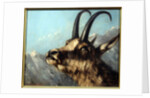 Head Of Chamois, 19th century by Gustave Courbet