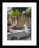 To the pelvis, Mrs. Prat, 20th century by Loys Prat