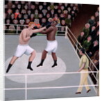 Title Fight by Jerzy Marek