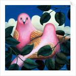 In the Pink by Jerzy Marek