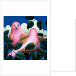 In the Pink by Jerzy Marek