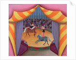 The Circus by Jerzy Marek