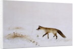 Fox in Snow by Jane Neville