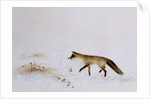 Fox in Snow by Jane Neville