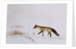 Fox in Snow by Jane Neville