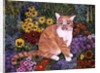 The Carpenter's Cat by Hilary Jones