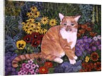 The Carpenter's Cat by Hilary Jones