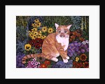 The Carpenter's Cat by Hilary Jones