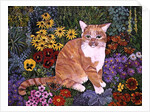 The Carpenter's Cat by Hilary Jones
