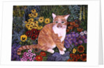 The Carpenter's Cat by Hilary Jones