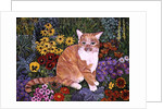The Carpenter's Cat by Hilary Jones