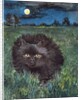 The Cat and the Moon by Hilary Jones