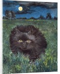 The Cat and the Moon by Hilary Jones