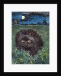 The Cat and the Moon by Hilary Jones