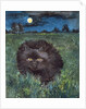 The Cat and the Moon by Hilary Jones