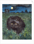 The Cat and the Moon by Hilary Jones