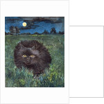 The Cat and the Moon by Hilary Jones