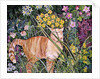 Cat and Long Grass, 1996 by Hilary Jones