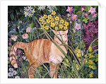 Cat and Long Grass, 1996 by Hilary Jones