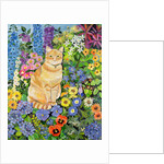 Gordon's Cat, 1996 by Hilary Jones