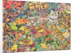 Tabby in Autumn, 1996 by Hilary Jones