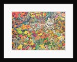 Tabby in Autumn, 1996 by Hilary Jones
