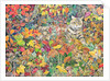Tabby in Autumn, 1996 by Hilary Jones