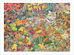 Tabby in Autumn, 1996 by Hilary Jones