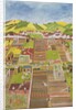 Allotments by Judy Joel