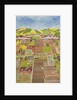 Allotments by Judy Joel
