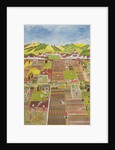Allotments by Judy Joel