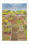 Allotments by Judy Joel