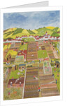 Allotments by Judy Joel