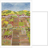 Allotments by Judy Joel