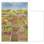 Allotments by Judy Joel