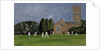 Cricket on Churchill Green by Judy Joel
