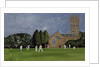Cricket on Churchill Green by Judy Joel
