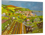 Allotment above Mousehole, 2013 by Judy Joel