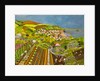 Allotment above Mousehole, 2013 by Judy Joel