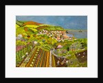 Allotment above Mousehole, 2013 by Judy Joel