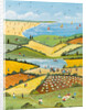 High Summer, 2013 by Judy Joel