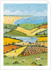 High Summer, 2013 by Judy Joel