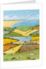 High Summer, 2013 by Judy Joel