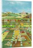 Allotments, 2012 by Judy Joel