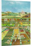 Allotments, 2012 by Judy Joel