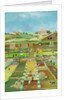 Allotments, 2012 by Judy Joel