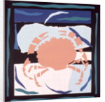 Crab by John Wallington