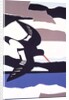 Oystercatcher by John Wallington