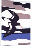 Oystercatcher by John Wallington