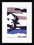 Oystercatcher by John Wallington